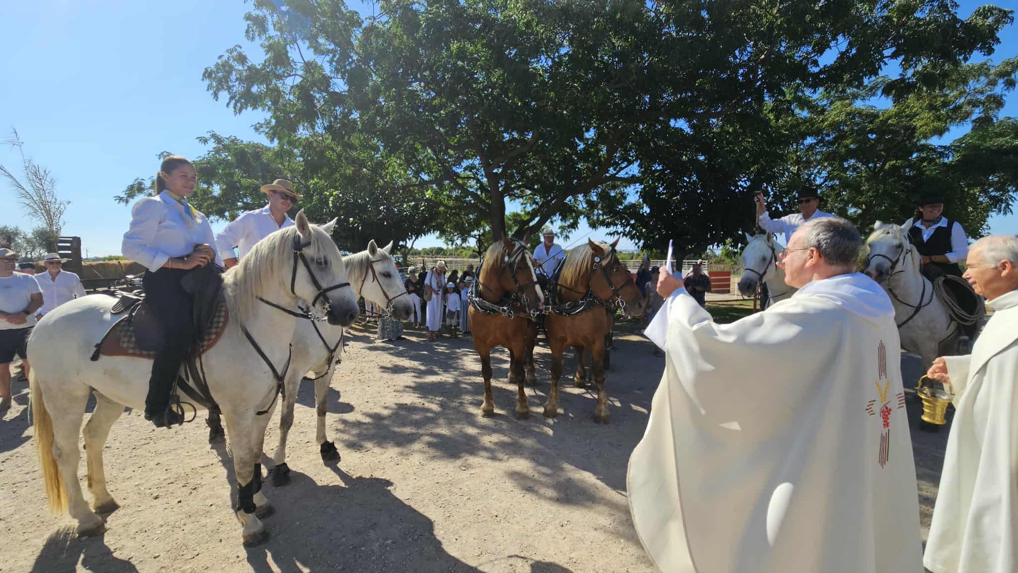 7b221993 1392 44ab a7b2 8e6edd46fe5f