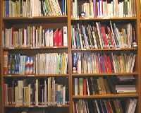 Image non disponible