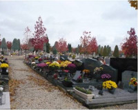 Image non disponible